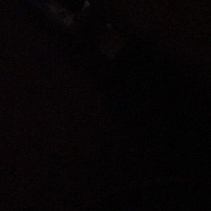 Meet your Posher, Layla